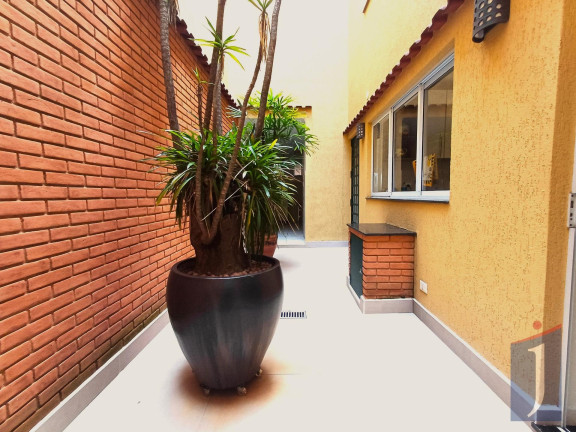 Imagem Casa com 3 Quartos à Venda, 206 m² em Jardim Da Gloria - São Paulo Imagem Casa com 3 Quartos à Venda, 206 m² em Jardim Da Gloria - São Paulo
