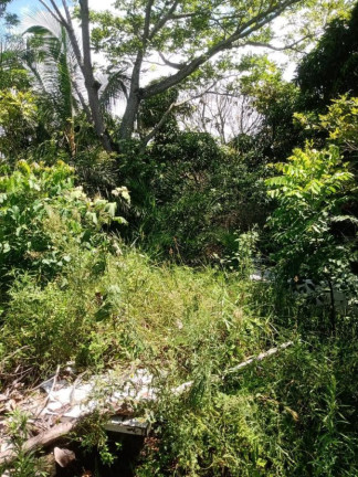 Imagem Terreno à Venda, 950 m² em Gamboa - Vera Cruz Imagem Terreno à Venda, 950 m² em Gamboa - Vera Cruz