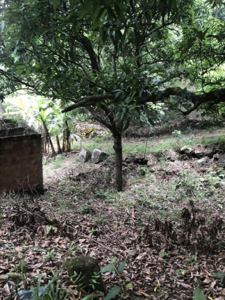 Imagem Terreno à Venda, 1.200 m² em Campo Grande - Rio De Janeiro Imagem Terreno à Venda, 1.200 m² em Campo Grande - Rio De Janeiro