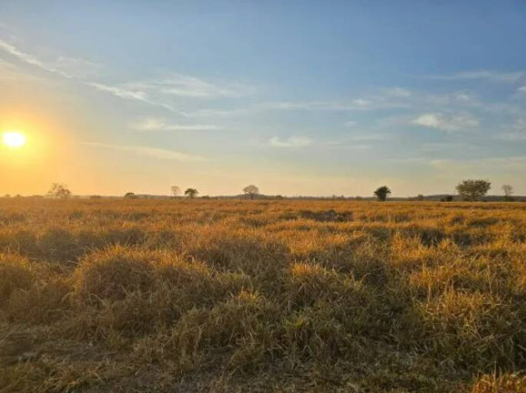 Imagem Fazenda à Venda, 11 m² em Ponte Rio Palmeiral - Mundo Novo Imagem Fazenda à Venda, 11 m² em Ponte Rio Palmeiral - Mundo Novo
