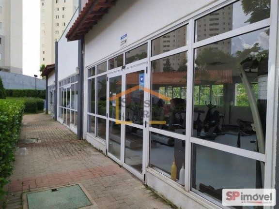 Imagem Apartamento com 3 Quartos à Venda, 70 m² em Vila Nova Cachoeirinha - São Paulo Imagem Apartamento com 3 Quartos à Venda, 70 m² em Vila Nova Cachoeirinha - São Paulo