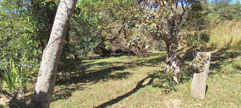 Imagem Fazenda à Venda ou Locação, 27.000 m² em Carneiros - Brumadinho Imagem Fazenda à Venda ou Locação, 27.000 m² em Carneiros - Brumadinho