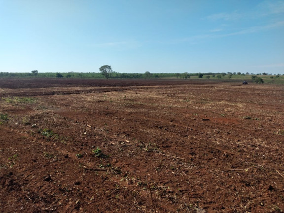 Imagem Imóvel à Venda, 314 m² em área Rural De Querência - Querência