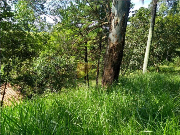 Imagem Terreno à Venda, 12.000 m² em Chácara Jaraguá - São Paulo Imagem Terreno à Venda, 12.000 m² em Chácara Jaraguá - São Paulo