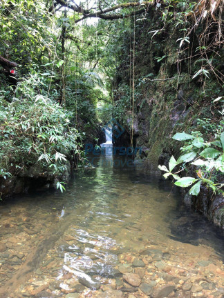 Imagem Chácara com 3 Quartos à Venda, 1.200.000 m² em Lageado Alto - Guabiruba