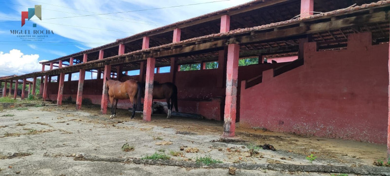 Imagem Imóvel com 7 Quartos à Venda, 1.621.400 m² em Centro - Sorocaba Imagem Imóvel com 7 Quartos à Venda, 1.621.400 m² em Centro - Sorocaba