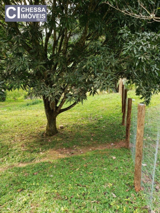 Imagem Chácara com 2 Quartos à Venda, 21.000 m² em Vila Do Salto - Luiz Alves