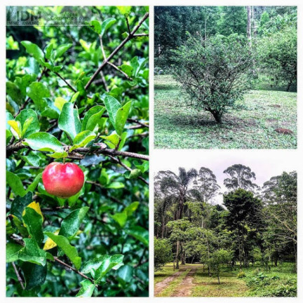 Imagem Chácara à Venda, 1.380.000 m² em Bororé - São Paulo Imagem Chácara à Venda, 1.380.000 m² em Bororé - São Paulo