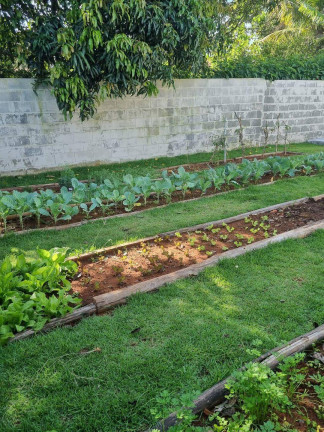 Imagem Casa com 2 Quartos à Venda, 64 m² em Bom Jesus Dos Perdões