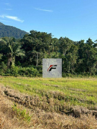 Imagem Chácara com 2 Quartos à Venda, 347.875 m² em Centro - Guaraqueçaba