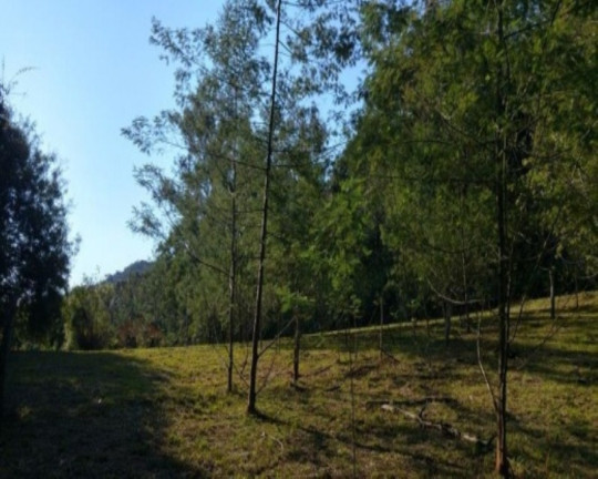 Imagem Terreno à Venda, 3 m² em Fazenda Pirajá - Nova Petrópolis Imagem Terreno à Venda, 3 m² em Fazenda Pirajá - Nova Petrópolis