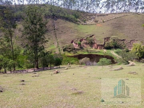 Imagem Chácara com 2 Quartos à Venda, 14.000 m² em Centro - Igaratá