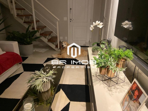 Imagem Imóvel com 3 Quartos à Venda, 194 m² em Vila Suzana - São Paulo Imagem Imóvel com 3 Quartos à Venda, 194 m² em Vila Suzana - São Paulo