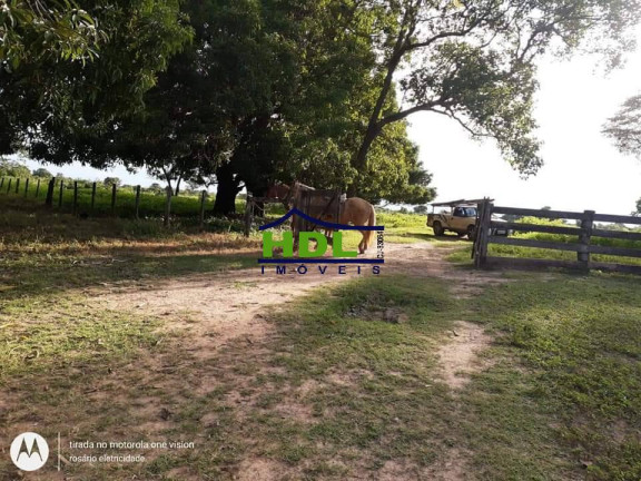 Imagem Fazenda à Venda, 318 m² em Zona Rural - Araguaiana Imagem Fazenda à Venda, 318 m² em Zona Rural - Araguaiana
