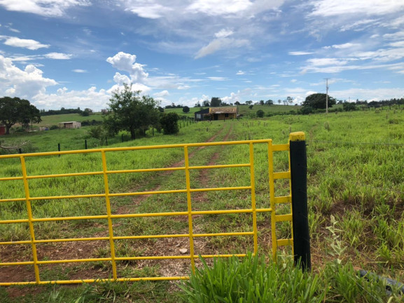 Imagem Chácara à Venda, 20 m² em Maria Helena - Maria Helena