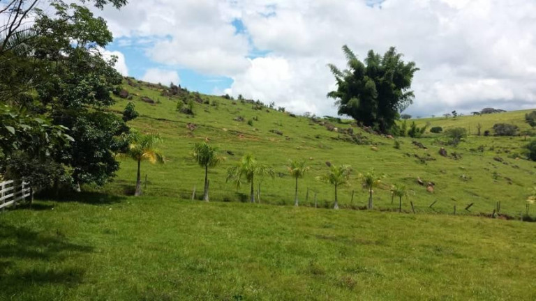 Imagem Fazenda à Venda, 174.000 m² em Bairro Dos Pintos - Itatiba Imagem Fazenda à Venda, 174.000 m² em Bairro Dos Pintos - Itatiba