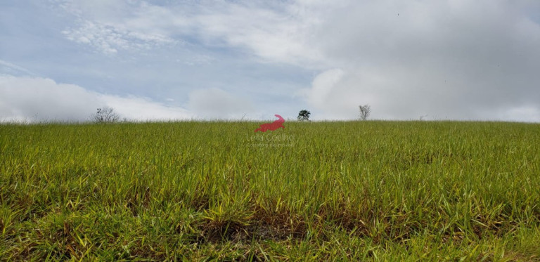 Imagem Fazenda à Venda, 968 m² em Centro - Palmópolis