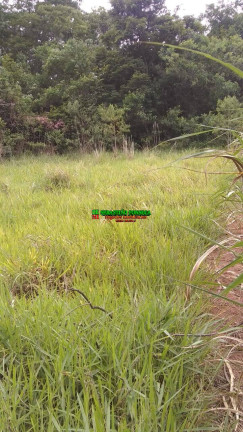 Imagem Chácara à Venda, 1.700 m² em Sob. Consulta - Paraibuna Imagem Chácara à Venda, 1.700 m² em Sob. Consulta - Paraibuna