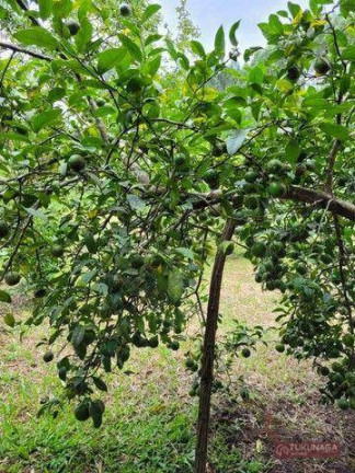 Imagem Chácara com 3 Quartos à Venda, 300 m² em Chácaras Copaco - Arujá Imagem Chácara com 3 Quartos à Venda, 300 m² em Chácaras Copaco - Arujá