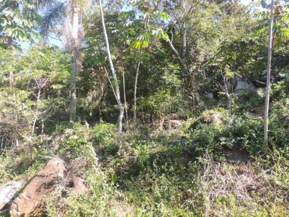 Imagem Terreno à Venda, 973 m² em Praia Da Gamboa - Garopaba Imagem Terreno à Venda, 973 m² em Praia Da Gamboa - Garopaba