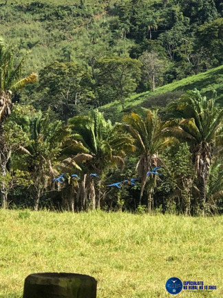 Imagem Fazenda à Venda, 125 m² em Zona Rural - Cocalzinho De Goiás Imagem Fazenda à Venda, 125 m² em Zona Rural - Cocalzinho De Goiás