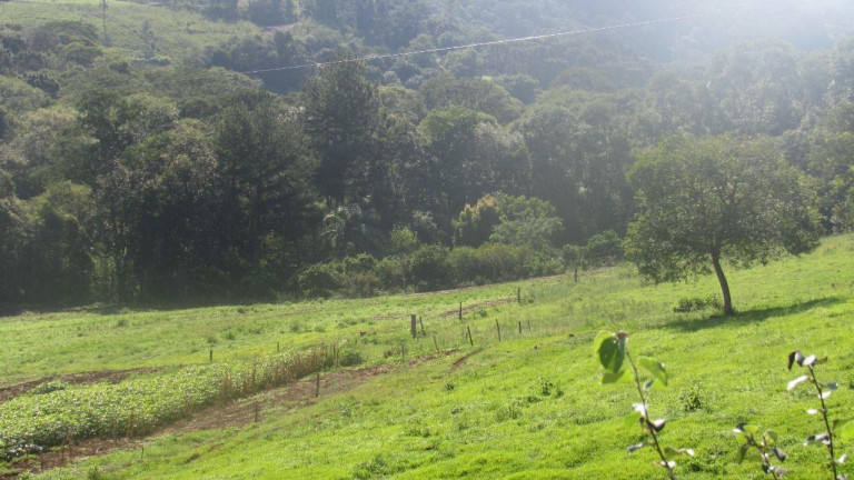 Imagem Terreno à Venda, 177.000 m² em Interior - Concórdia Imagem Terreno à Venda, 177.000 m² em Interior - Concórdia