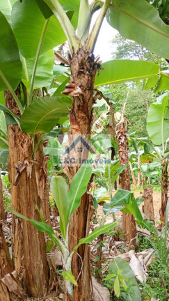 Imagem Imóvel com 2 Quartos à Venda, 100 m² em Ana Dias - Ana Dias