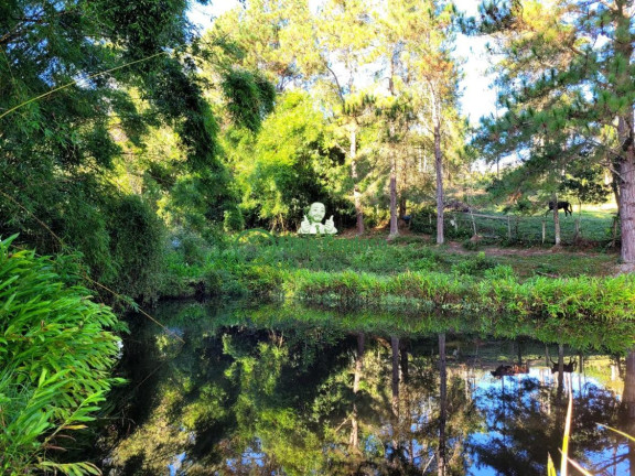 Imagem Fazenda à Venda, 181.500 m² em Centro - Paraibuna