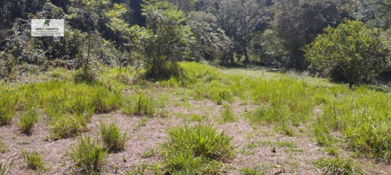 Imagem Chácara com 2 Quartos à Venda, 69.000 m² em Ibaté - São Roque Imagem Chácara com 2 Quartos à Venda, 69.000 m² em Ibaté - São Roque