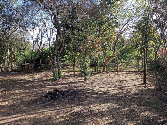 Imagem Chácara com 3 Quartos à Venda, 1.600 m² em águas Claras - Viamão