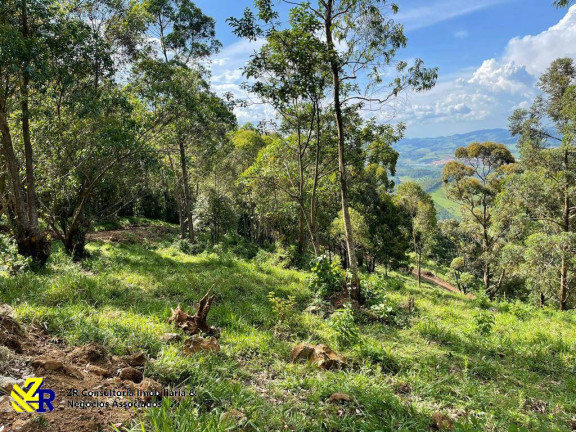 Imagem Chácara à Venda, 41 m² em Pitangueiras - Pedra Bela