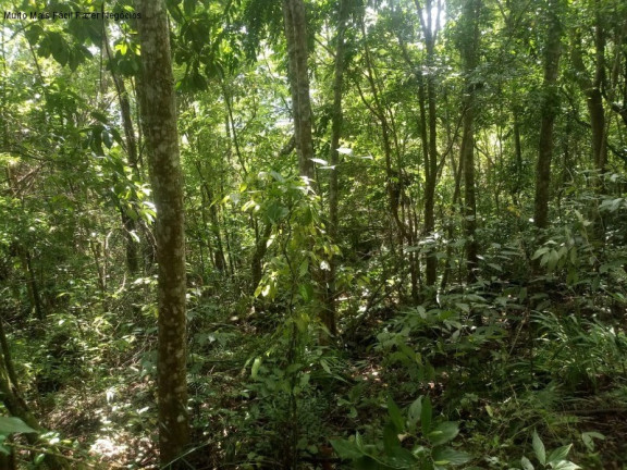 Imagem Terreno à Venda, 225.000 m² em Arroio Paixão - Nova Petrópolis Imagem Terreno à Venda, 225.000 m² em Arroio Paixão - Nova Petrópolis
