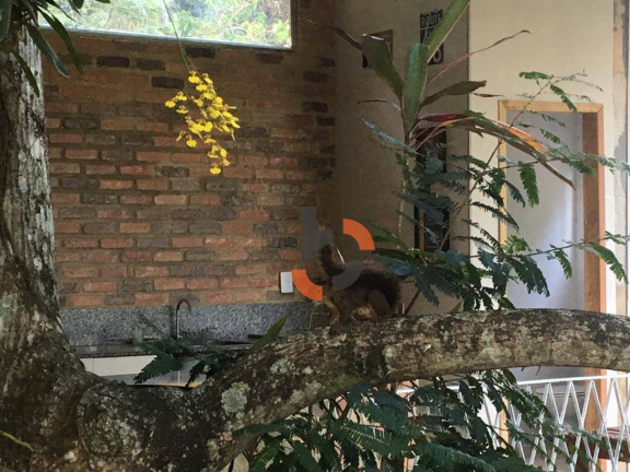 Imagem Fazenda à Venda, 400 m² em Centro - Queimados Imagem Fazenda à Venda, 400 m² em Centro - Queimados