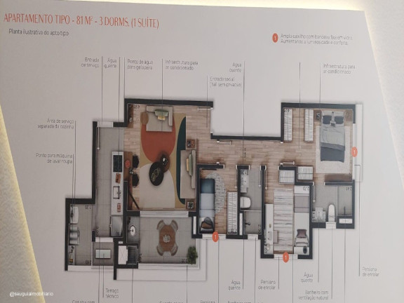 Imagem Apartamento com 3 Quartos à Venda, 81 m² em Vila Mariana - São Paulo Imagem Apartamento com 3 Quartos à Venda, 81 m² em Vila Mariana - São Paulo
