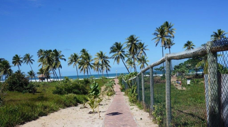 Imagem Casa com 5 Quartos à Venda, 292 m² em Praia Do Forte - Mata De São João Imagem Casa com 5 Quartos à Venda, 292 m² em Praia Do Forte - Mata De São João