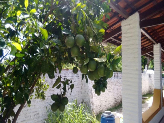 Imagem Imóvel com 4 Quartos à Venda, 2.016 m² em Aquiraz - Aquiraz