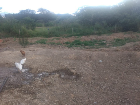 Imagem Imóvel à Venda, em Piedade Dos Gerais - Piedade Dos Gerais Imagem Imóvel à Venda, em Piedade Dos Gerais - Piedade Dos Gerais