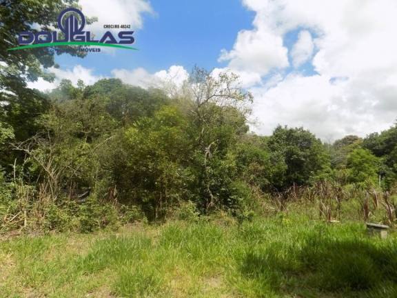 Imagem Imóvel Comercial à Venda, em Viamão Imagem Imóvel Comercial à Venda, em Viamão
