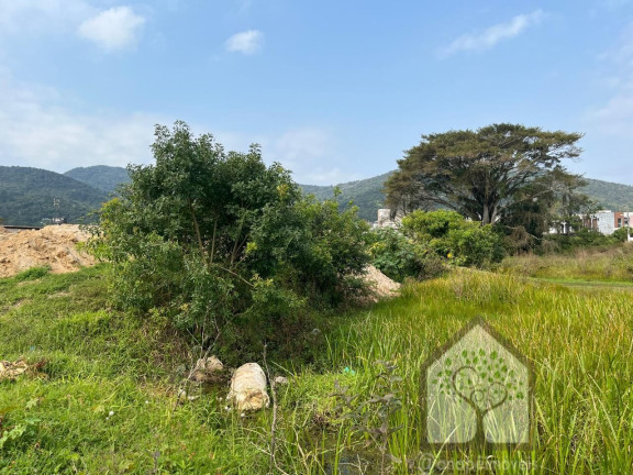 Imagem Terreno à Venda, 2.458 m² em Vargem Grande - Florianópolis