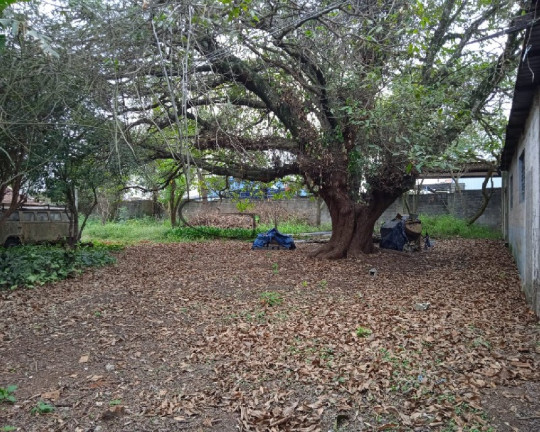 Imóvel à Venda, 18 m² em Chácara Santa Etelvina - São Paulo
