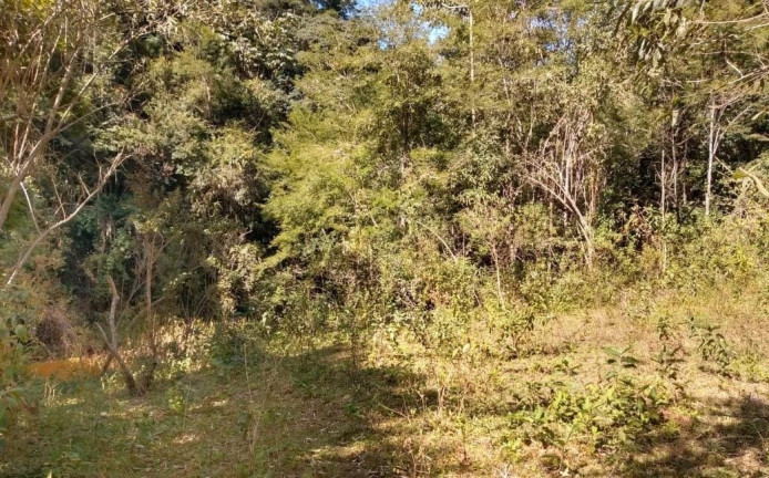 Imagem Imóvel com 5 Quartos à Venda, 500 m² em Domingos Martins - Domingos Martins Imagem Imóvel com 5 Quartos à Venda, 500 m² em Domingos Martins - Domingos Martins