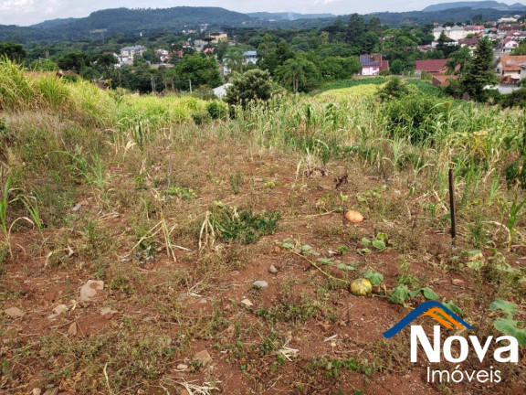 Imagem Imóvel à Venda, 685 m² em Pousada Da Neve - Nova Petrópolis Imagem Imóvel à Venda, 685 m² em Pousada Da Neve - Nova Petrópolis