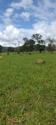Imagem Fazenda à Venda, 50 m² em Setor Central - Ivolândia Imagem Fazenda à Venda, 50 m² em Setor Central - Ivolândia