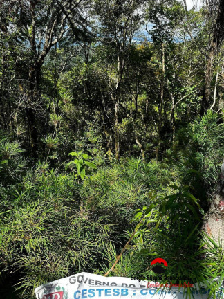 Imagem Terreno à Venda, 1 m² em Campos Do Jordão Imagem Terreno à Venda, 1 m² em Campos Do Jordão