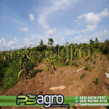 Imagem Fazenda à Venda, 45.000.000 m² em Alto Do Pinho - São Luís Imagem Fazenda à Venda, 45.000.000 m² em Alto Do Pinho - São Luís