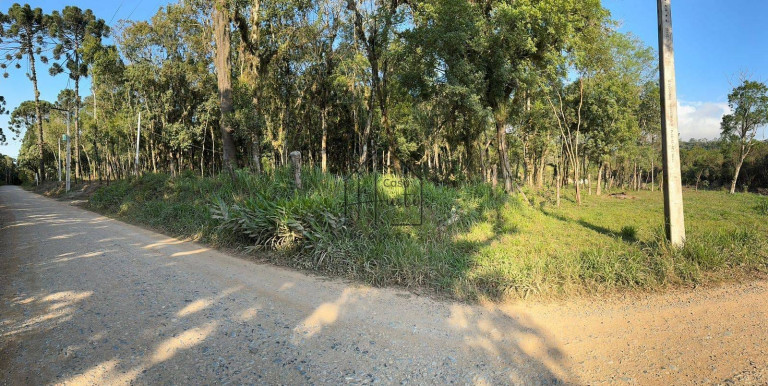 Imagem Terreno à Venda, 1.000 m² em Verava - Ibiúna