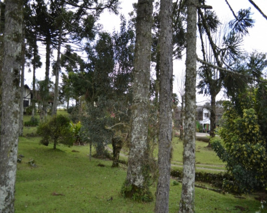 Imagem Imóvel à Venda, 1.920 m² em Pousada Da Neve - Nova Petrópolis