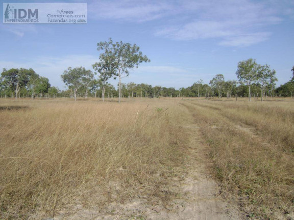 Imagem Chácara à Venda, 45.000.000 m² em Setor Central - Taipas Do Tocantins