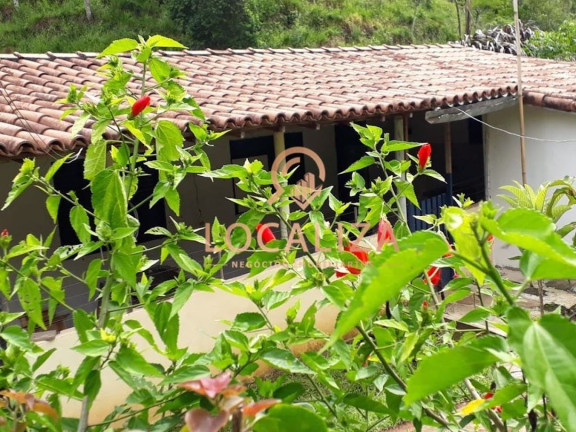 Imagem Fazenda à Venda, 65.000 m² em Jardim Bela Vista - São José Dos Campos Imagem Fazenda à Venda, 65.000 m² em Jardim Bela Vista - São José Dos Campos