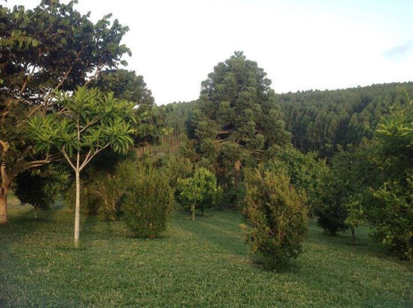 Imagem Chácara com 4 Quartos à Venda, 53 m² em Pousada Estancia Riacho Doce - Pilar Do Sul Imagem Chácara com 4 Quartos à Venda, 53 m² em Pousada Estancia Riacho Doce - Pilar Do Sul
